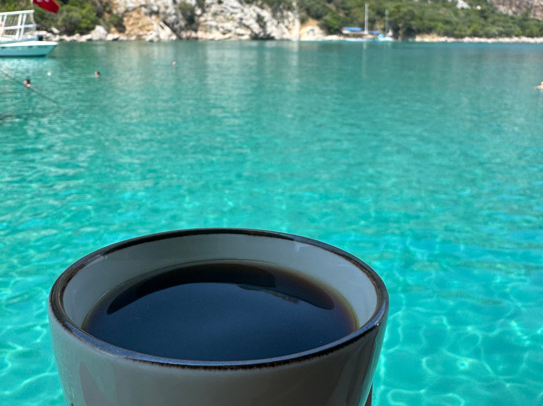 Mahi Mahi Travel景点图片