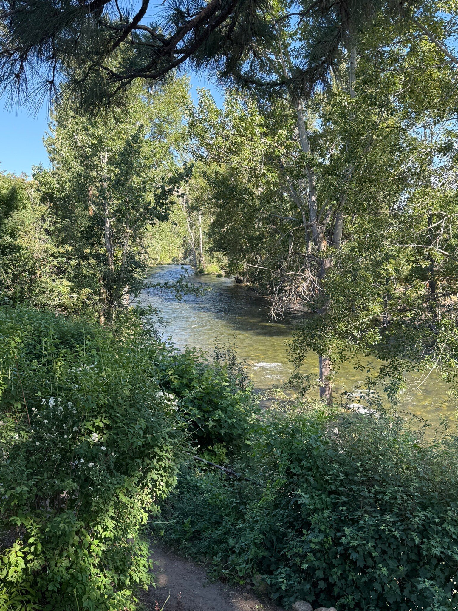 Twisp River Suites-官方