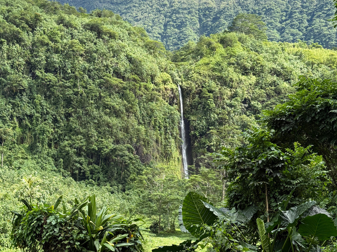 Tahiti Safari Expedition景点图片