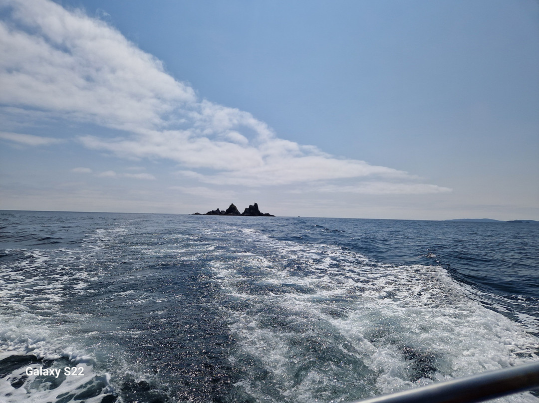 West Cork Ocean Tours-Union Hall必去景点