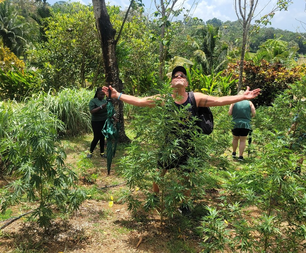 Jacana Farm Tours-奥乔里奥斯必去景点