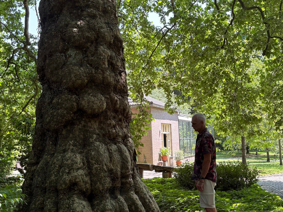 Stichting Arboretum Oudenbosch-Oudenbosch必去景点