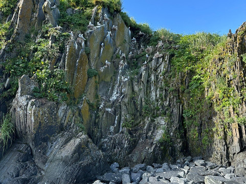 Kayak Kodiak LLC-Kodiak必去景点