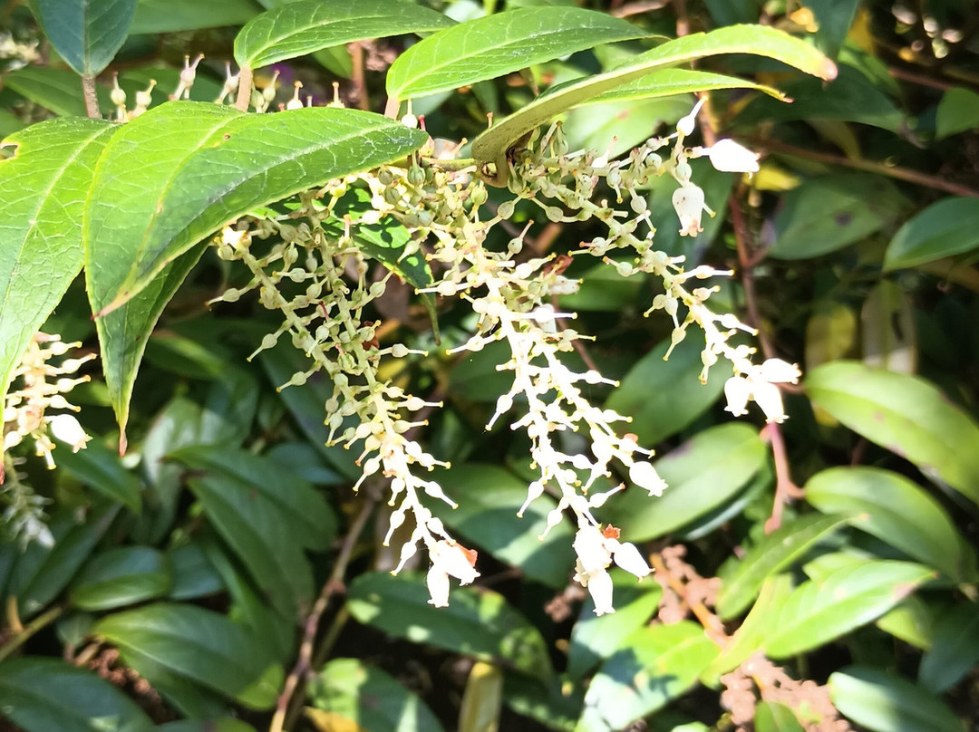 Skylands New Jersey Botanical Gardens-Ringwood必去景点