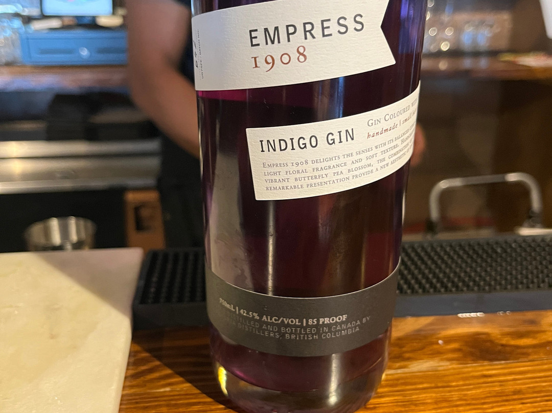 Skyline Village Inn主图