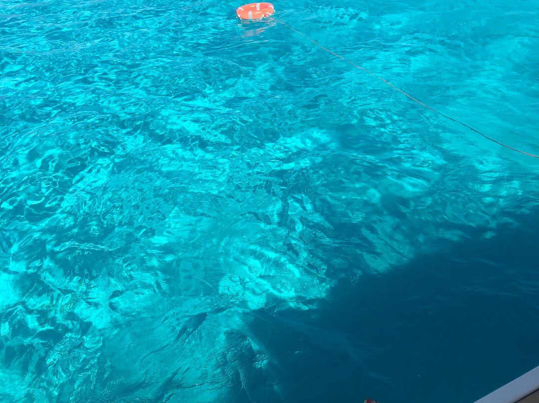 Wild Asinara Park-萨萨里省必去景点