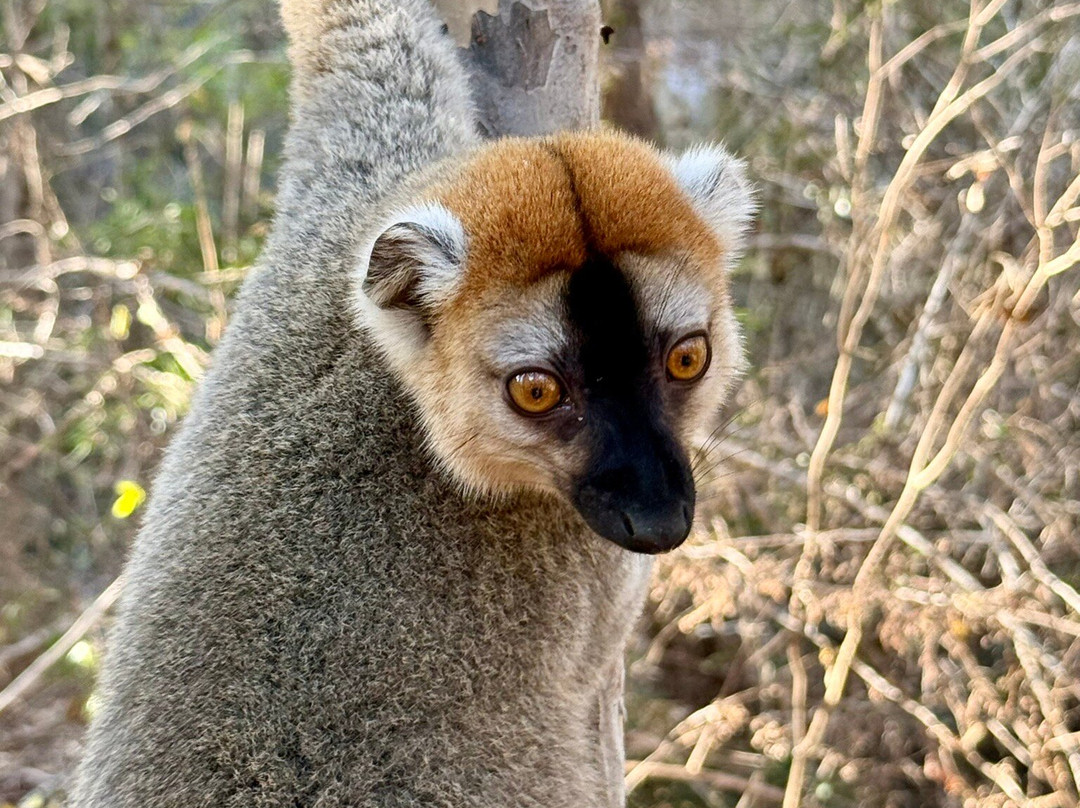 Remote River Expeditions - Madagascar-Morondava必去景点
