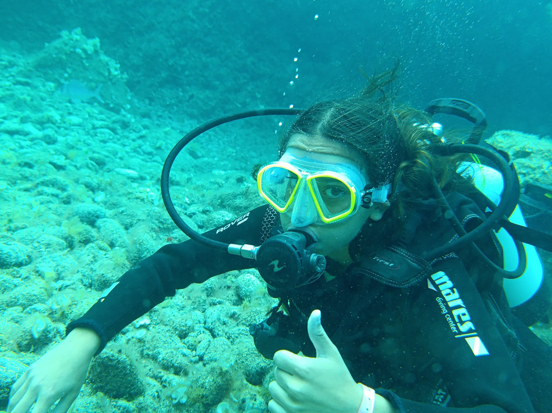 Cipreia Dive Club Porto Santo-Porto Santo Island必去景点