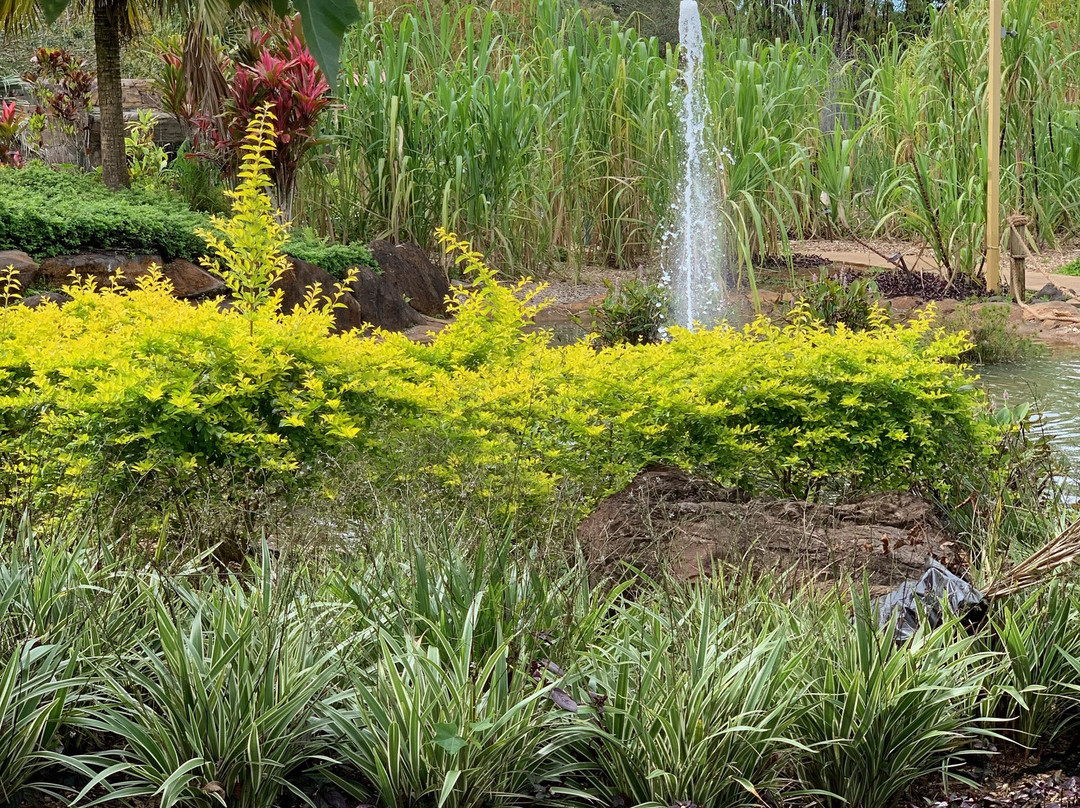 Anaina Hou Community Park-基拉韦厄必去景点