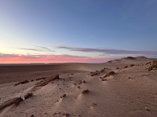 SURFIS - Land Sailing-达赫拉必去景点