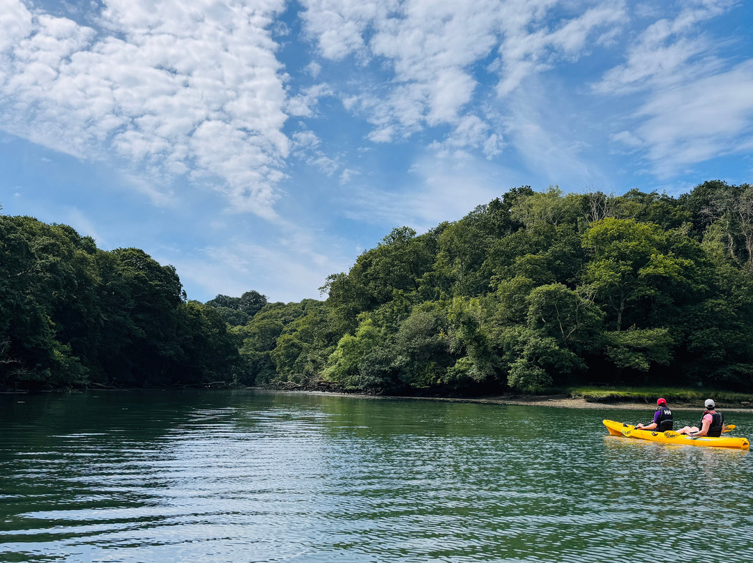 Koru Kayaking-St Agnes必去景点