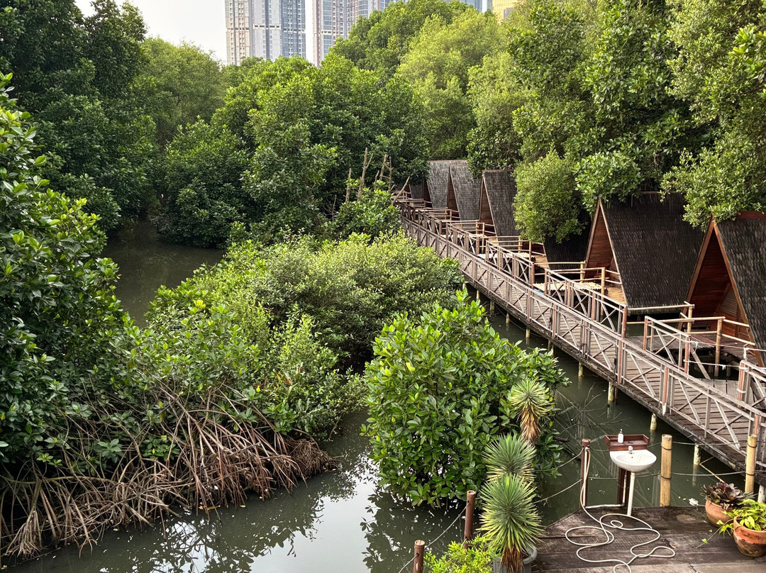 Alam Angke Kapuk Nature Park-雅加达必去景点