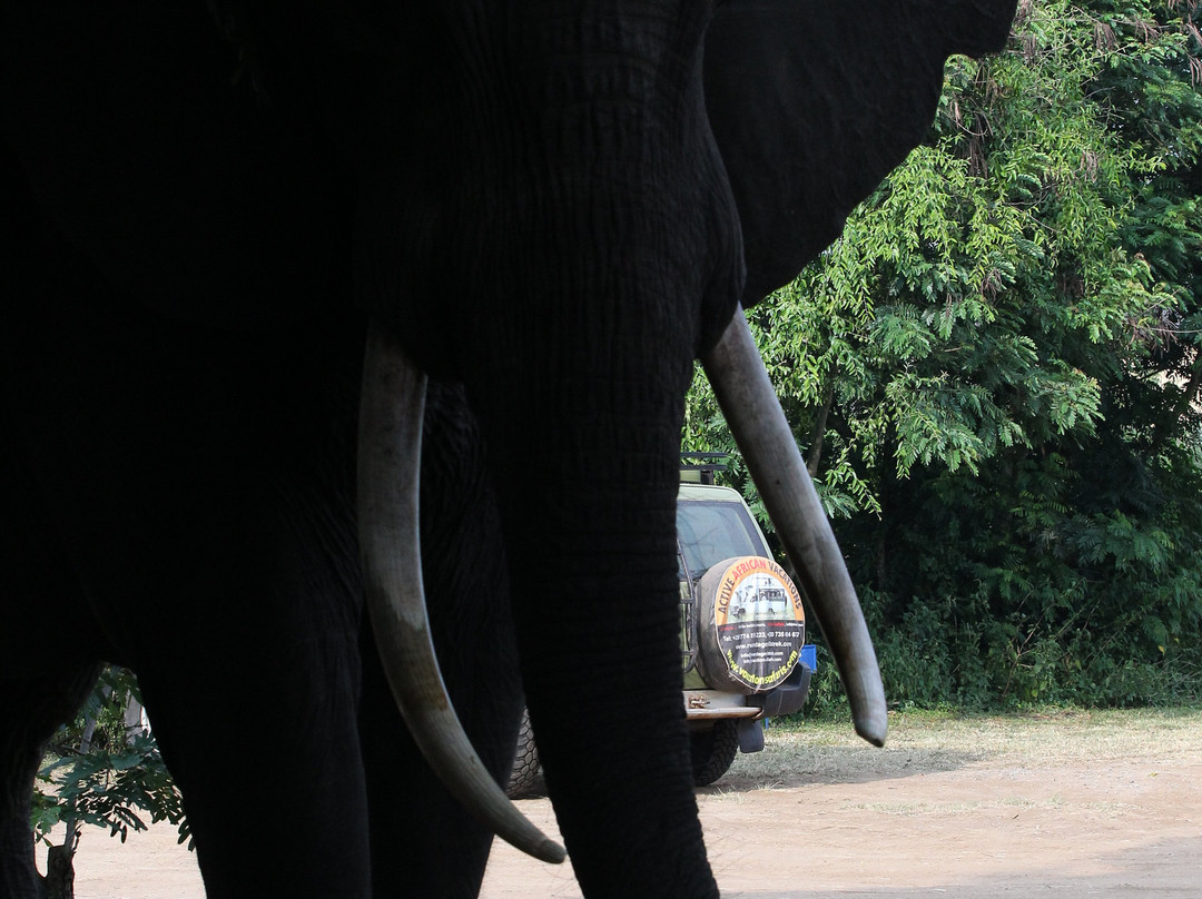 Rwanda Gorilla Trek - Day Tours-Huye必去景点