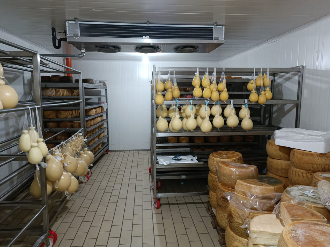 Adamà - Culinary Experience-Atena Lucana必去景点