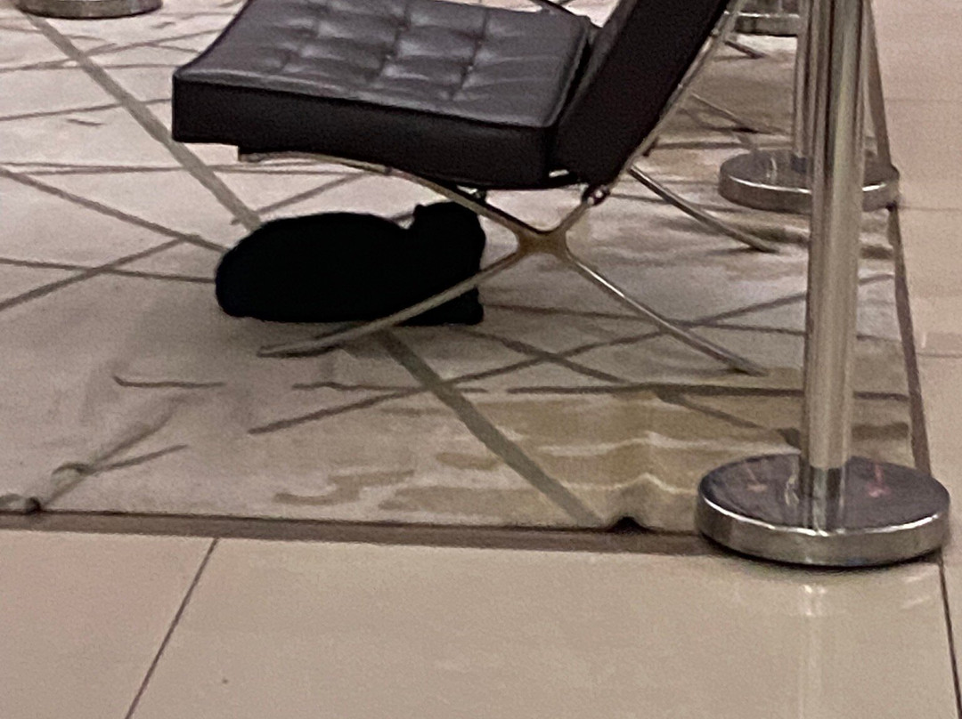 Class Hotel Varginha主图