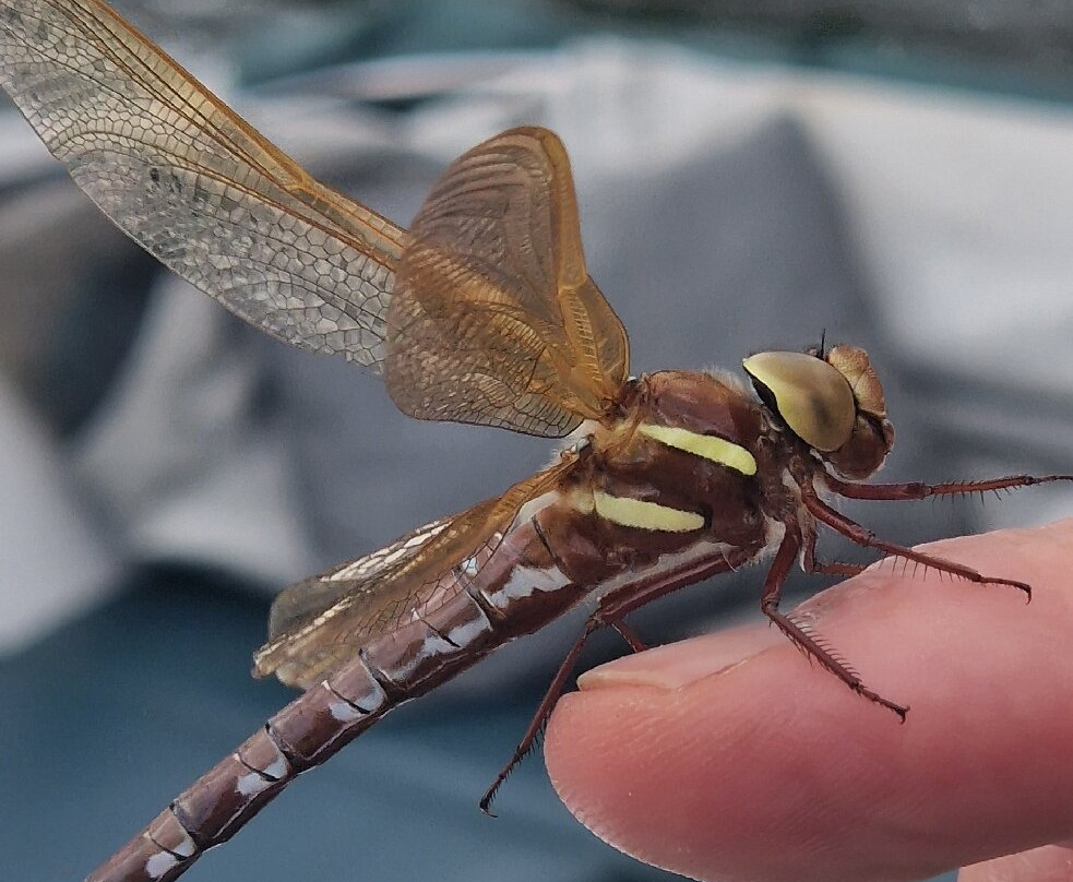 Tonbridge River Trips-汤布里奇必去景点