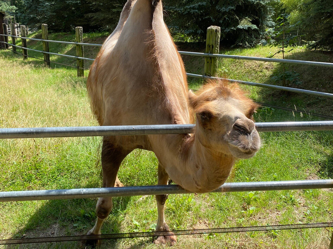 Natur- und Tierpark Brüggen-Bruggen必去景点