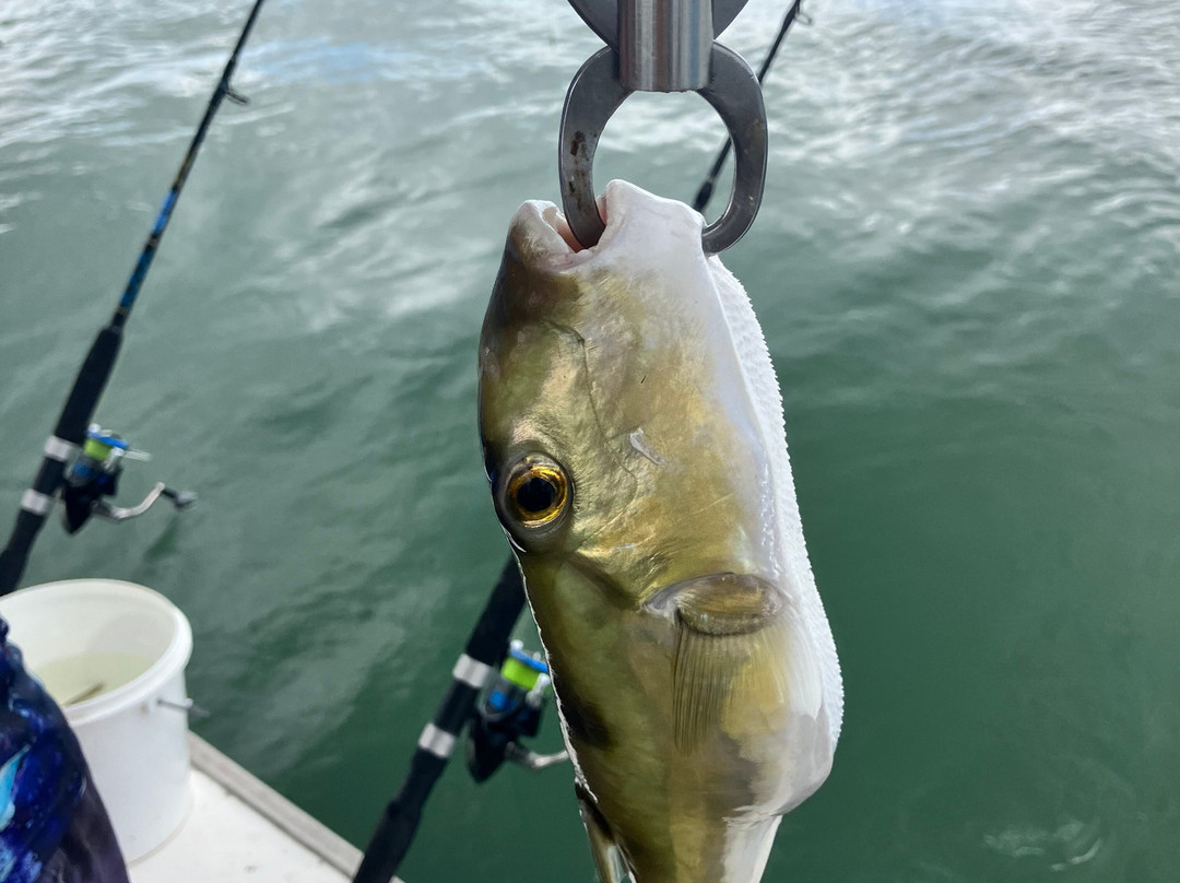 Gone Fishing  Cairns-凯恩斯必去景点