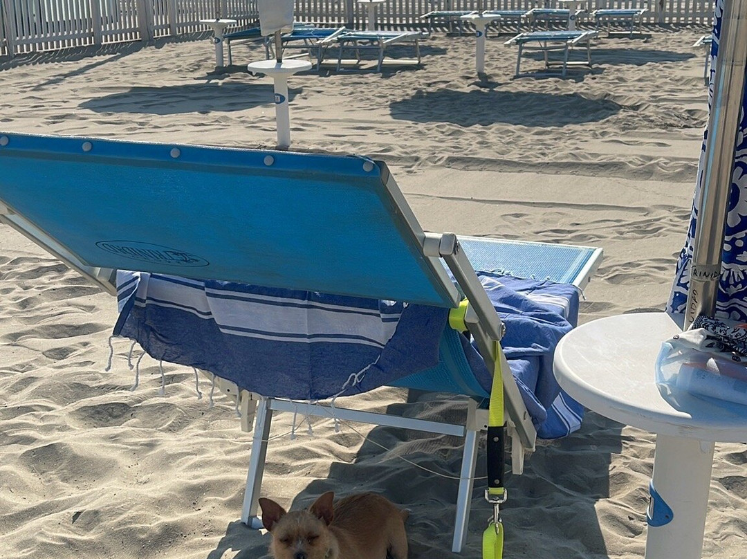 Bagno Trinidad-Lido delle Nazioni必去景点