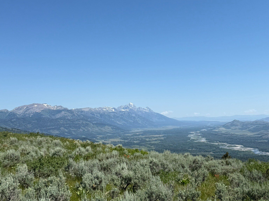 North Fork Trail Rides-杰克逊必去景点