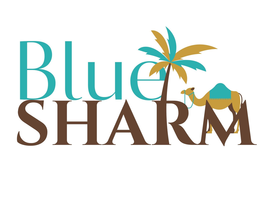 Blue Sharm-沙姆沙伊赫必去景点