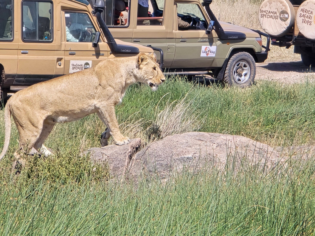 Activentures Africa Safaris-坎帕拉必去景点