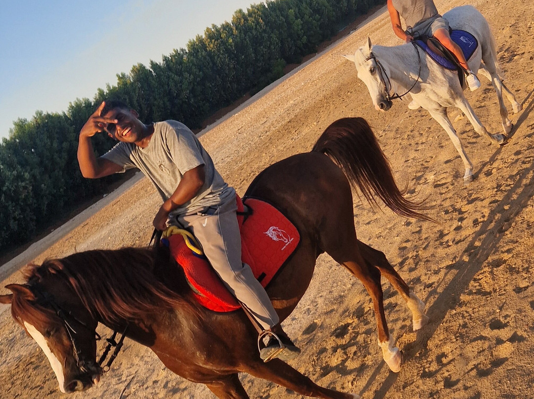 Happy Horse Stable Magawish Horseriding-赫尔格达必去景点