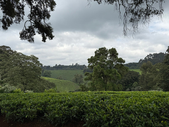 Michoore Tours & Travel-内罗毕必去景点