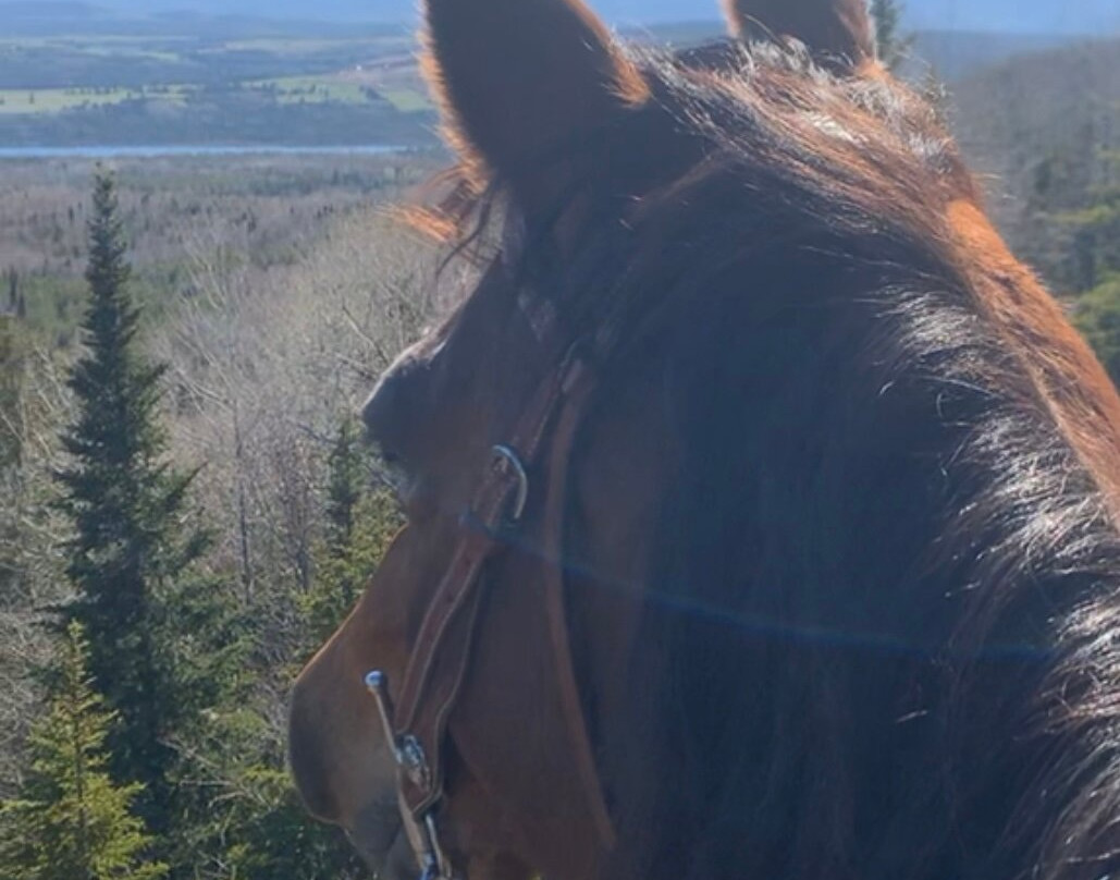 Le Centre du Cheval Enchanteur-拉马尔拜必去景点