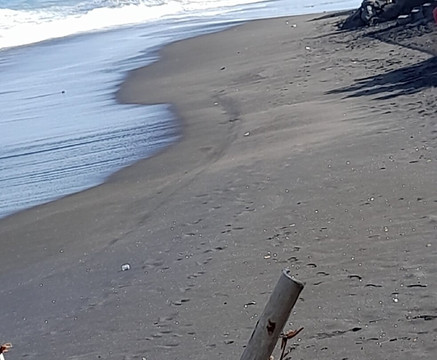 Holiday Bali Amertha-登巴萨必去景点