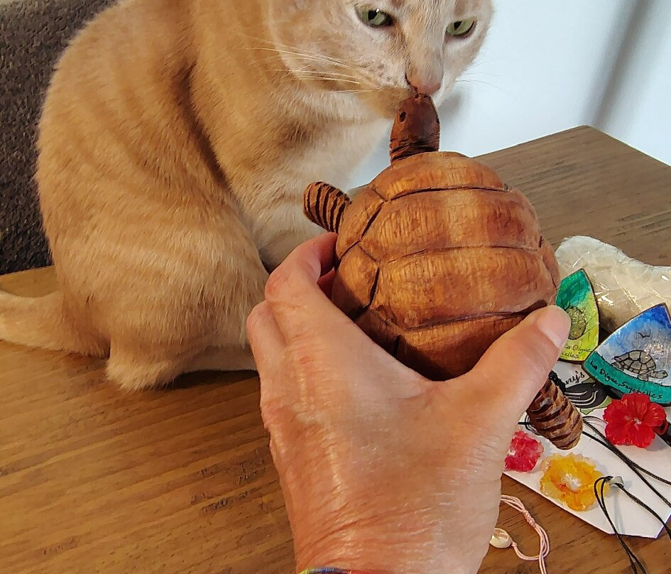 Tony's Design-La Digue必去景点