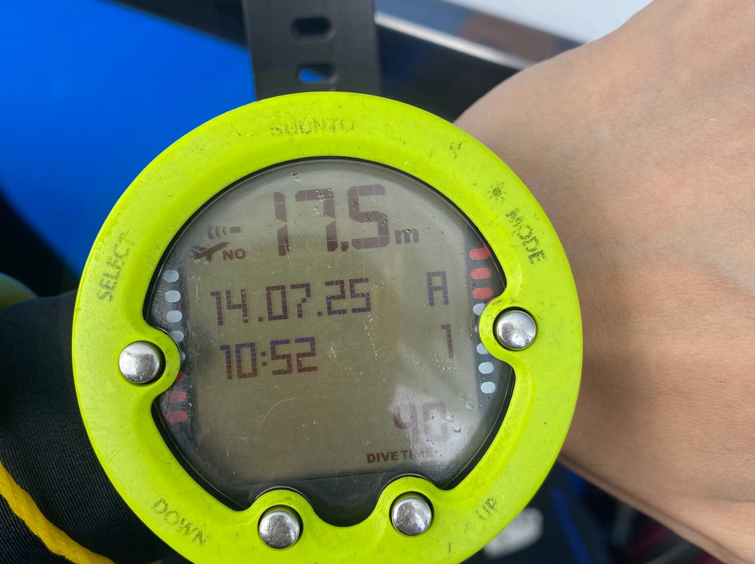 夏基潜水中心-卡伦必去景点