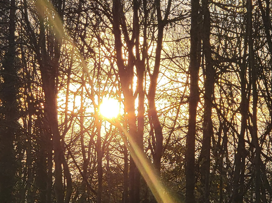 Tyddyn Mawr Golf & Footgolf Course