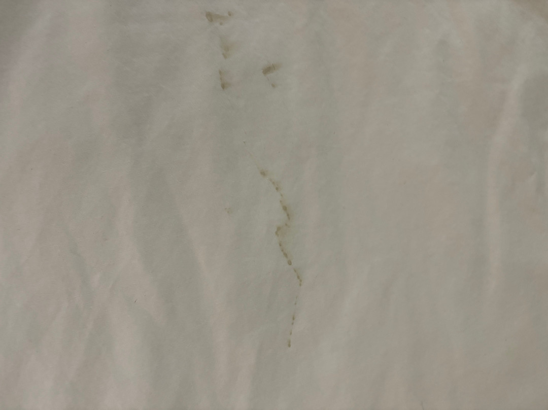 普若佛酒店住宿-普罗沃万豪酒店及会议中心