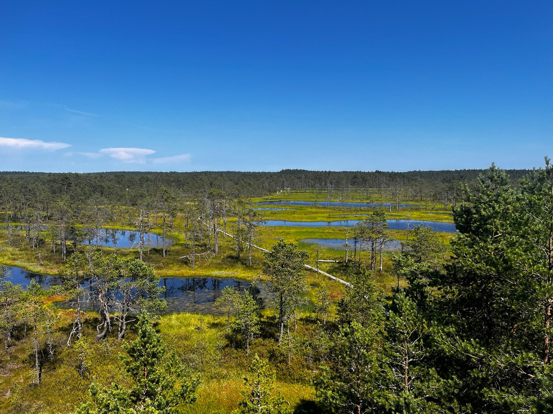 Lahemaa National Park-Vihasoo必去景点