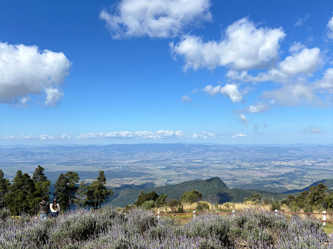 Parque do Itapeva-Pindamonhangaba必去景点