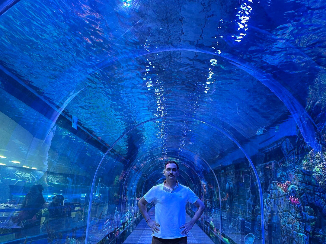 Aquarium Paradise-班加罗尔必去景点