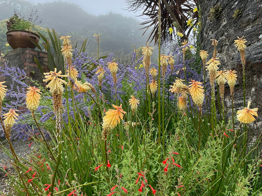 Overbecks Garden-Salcombe必去景点