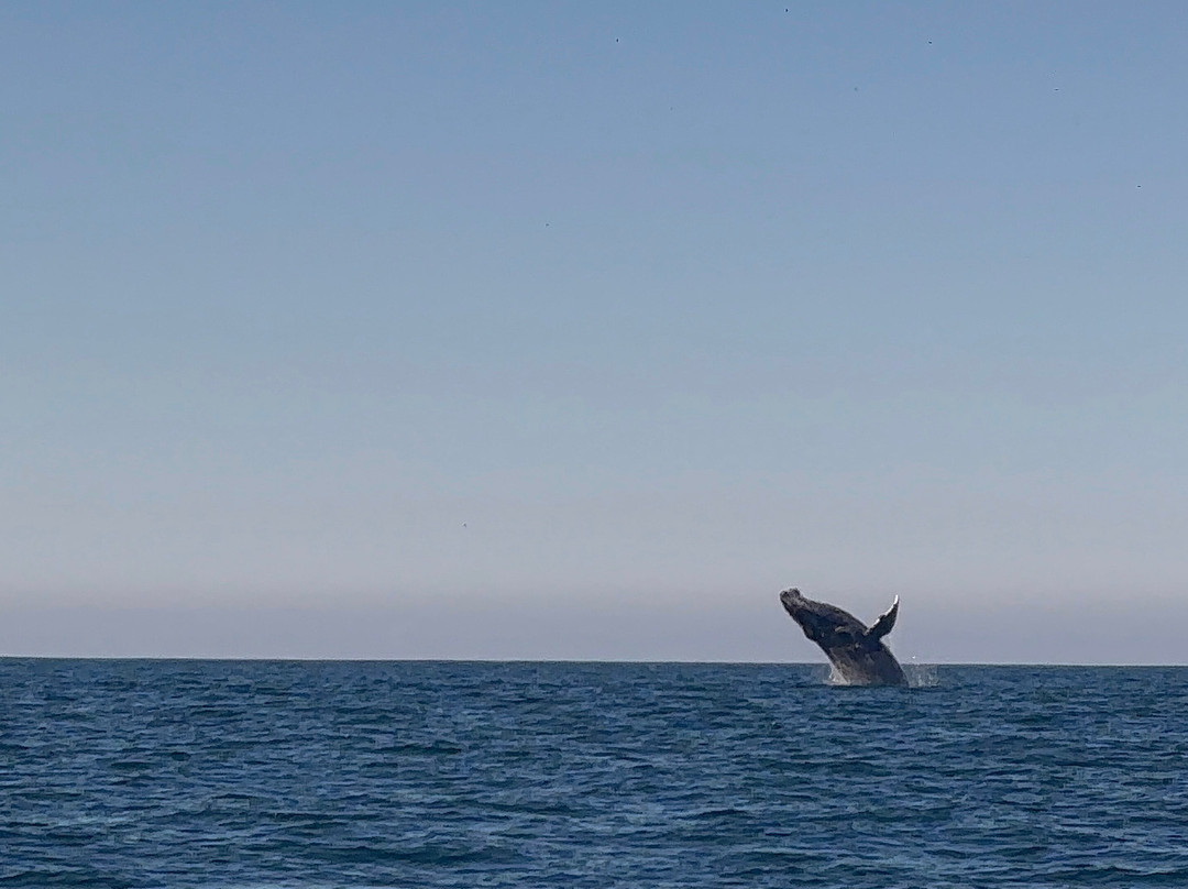 Maremar Turismo-伊利亚贝拉必去景点