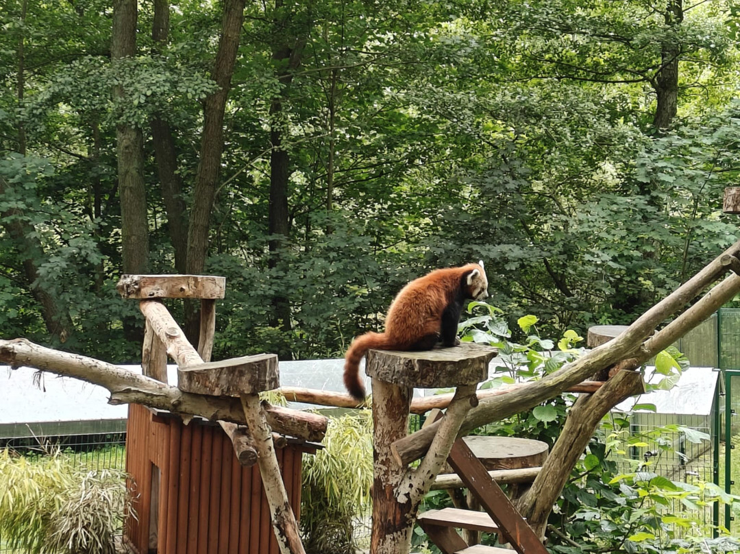 Oliwa Zoo-格但斯克必去景点