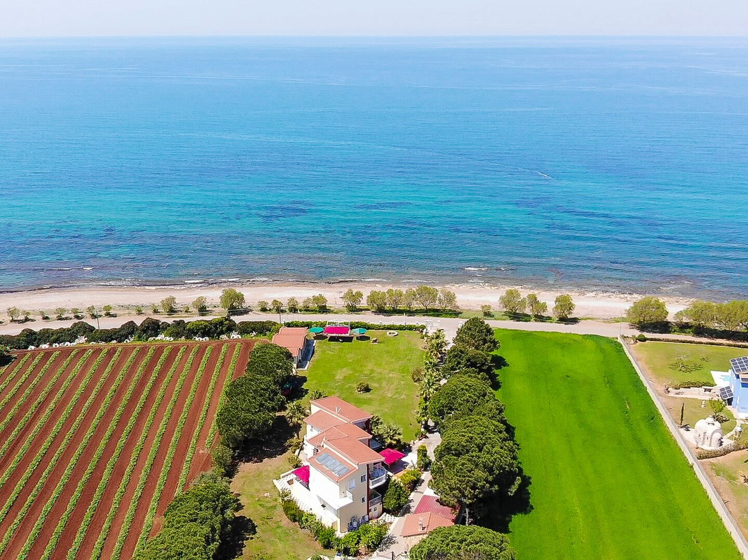 贝斯特韦斯特艾瑞达假日酒店主图