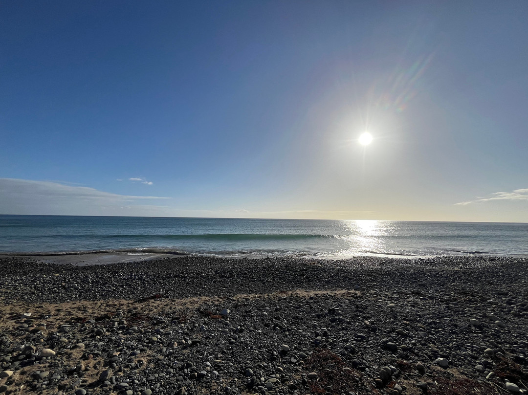 Fossil Bluff Lookout-温耶德必去景点