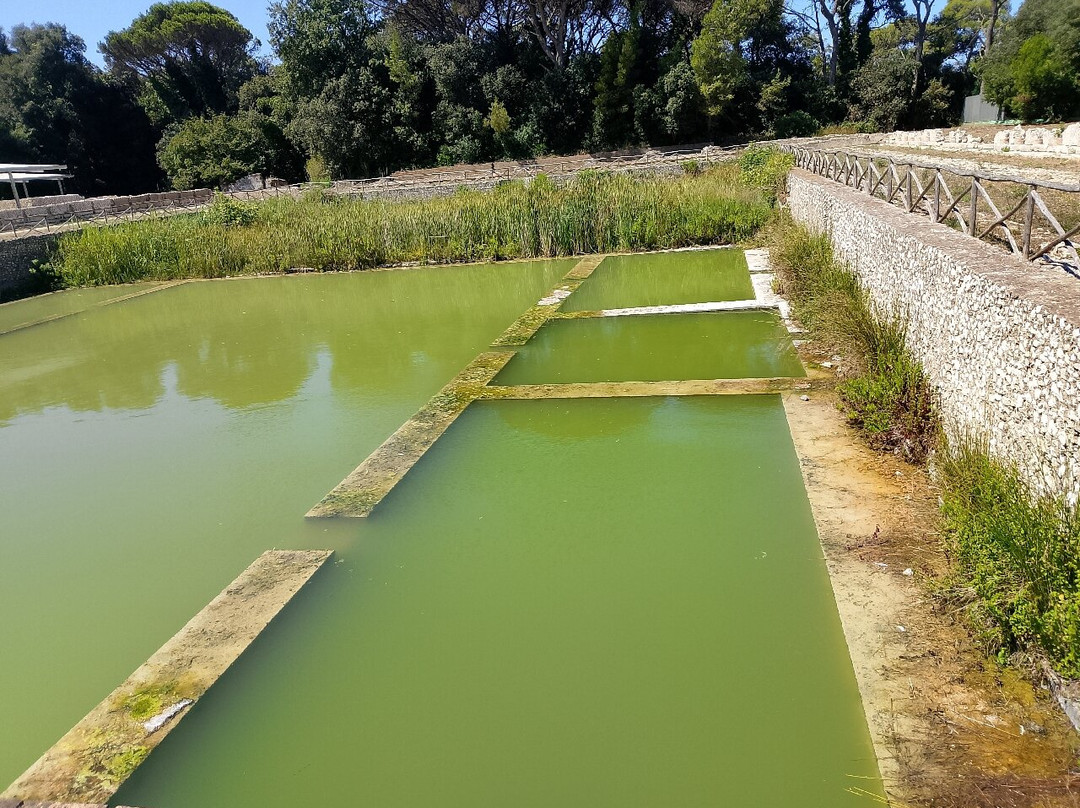 Villa di Domiziano-Sabaudia必去景点