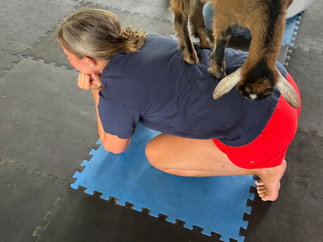 The Amish Farm And House-兰卡斯特必去景点