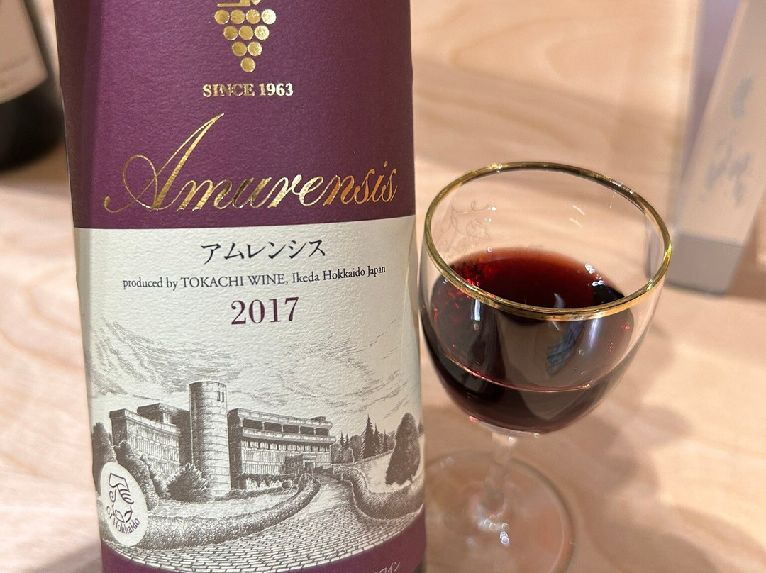 Ikeda Wine Castle-池田町必去景点