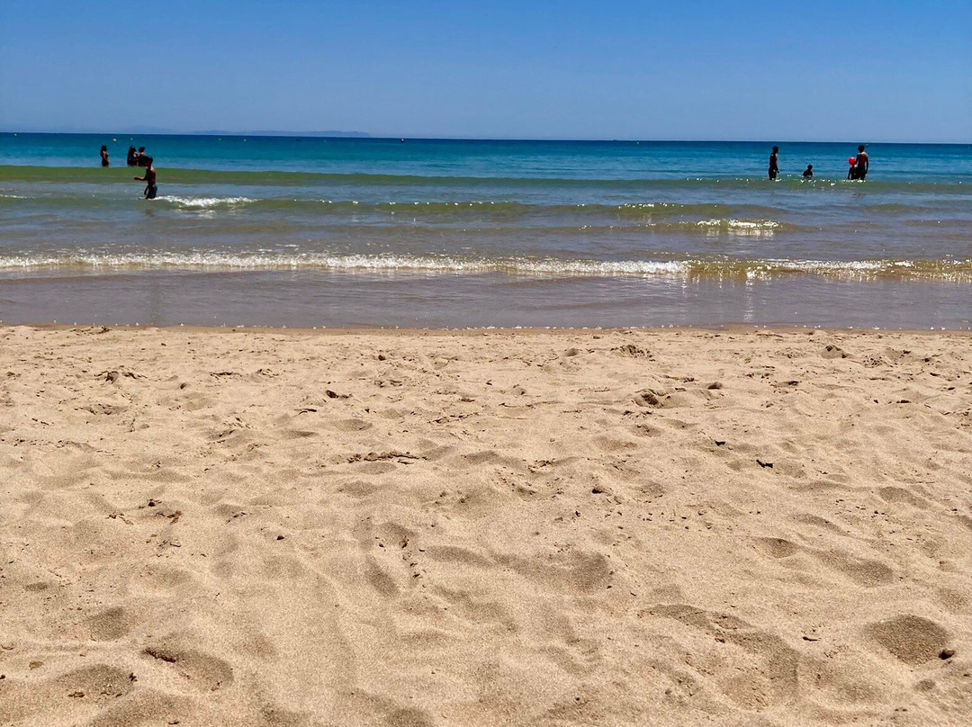 Playa Del Carmen-Barbate必去景点