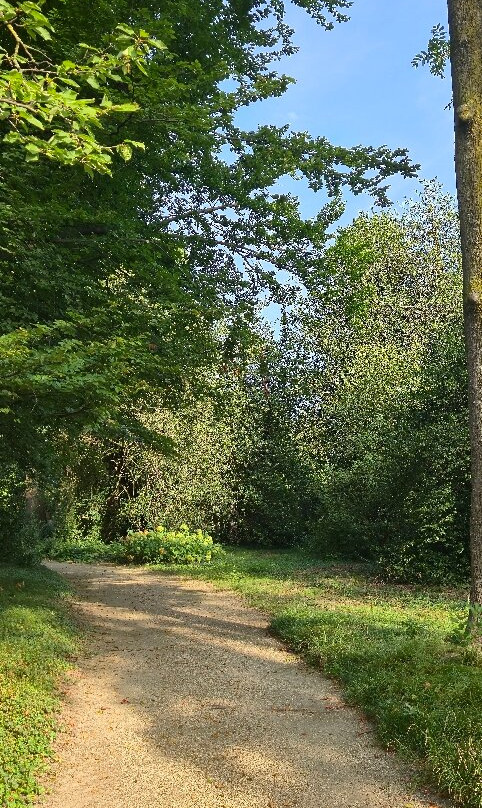 Villa Doria il Torrione主图