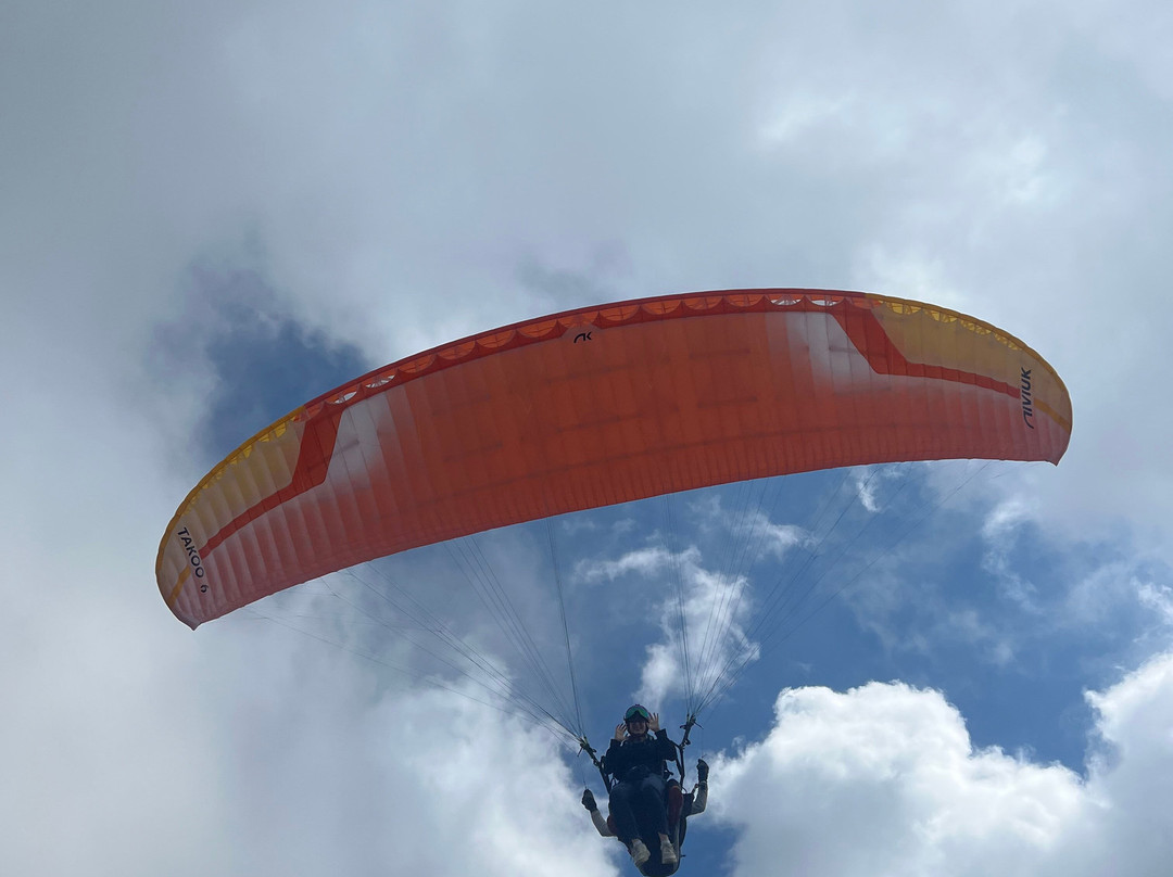 FlyHirzer-谢纳必去景点