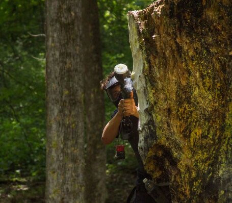 Adventures on the Gorge-Lansing必去景点