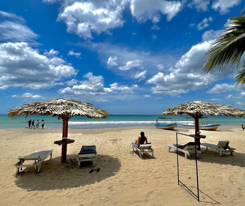 Ananda's Beach Resorts主图